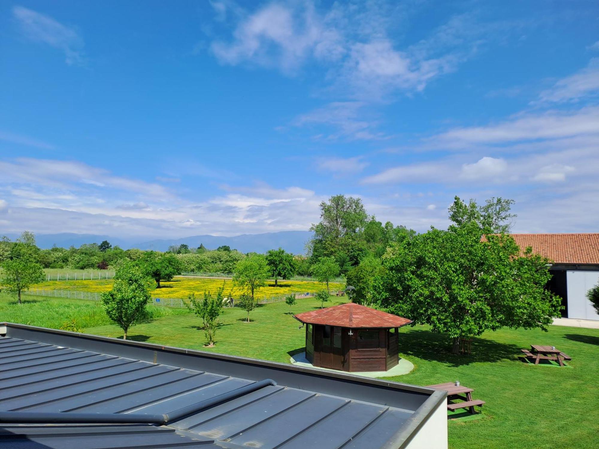 Azienda Agrituristica Ai Prai Castello Di Godego Buitenkant foto